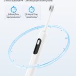 Adult Electric Toothbrush S100