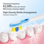 Adult Electric Toothbrush S503