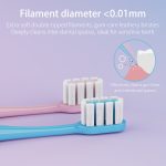 Adult Toothbrush B806