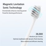 Adult Electric Toothbrush S100