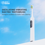 Oscillating-vibrating Electric Toothbrush S503