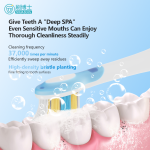 Oscillating-vibrating Electric Toothbrush S503