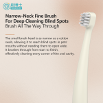 Delicate Small Head Pet Toothbrush B019