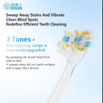 Oscillating-vibrating Electric Toothbrush S503