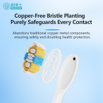 Oscillating-vibrating Electric Toothbrush S503