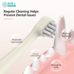 Delicate Small Head Pet Toothbrush B019