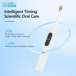 Oscillating-vibrating Electric Toothbrush S503