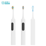Oscillating-vibrating Electric Toothbrush S503