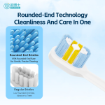 Genuine Original Replacement Brush Head B008