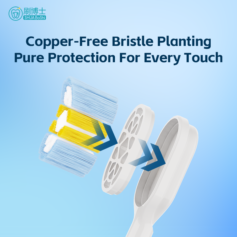 Genuine Original Replacement Brush Head B008